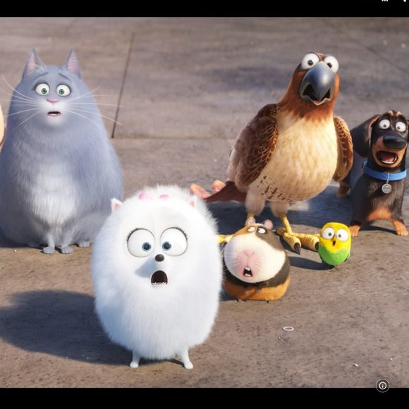 Excellent Used Condition The Secret Life of Pets Blu Ray & DVD 2 disc set - Picture 5 of 8